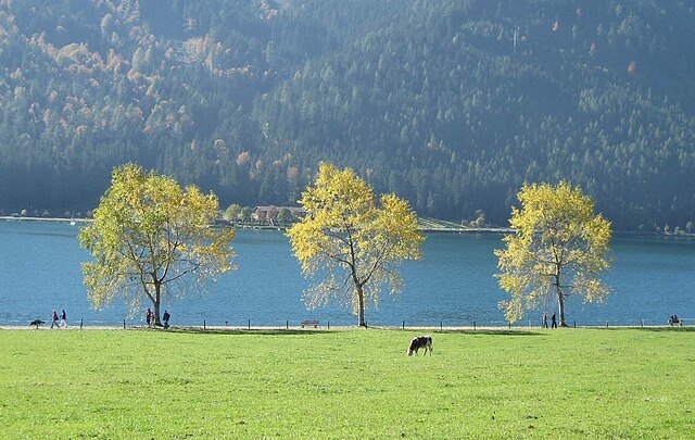 Achensee (Lake Achen)