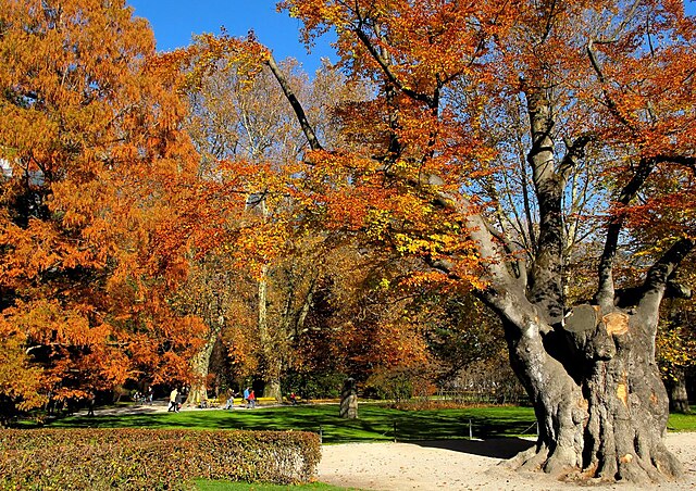 Hofgarten (Court Garden)