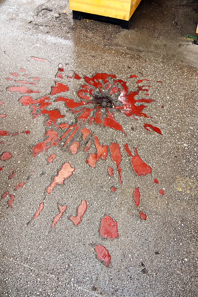 Sarajevo Roses