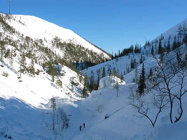 Pyhä-Luosto National Park