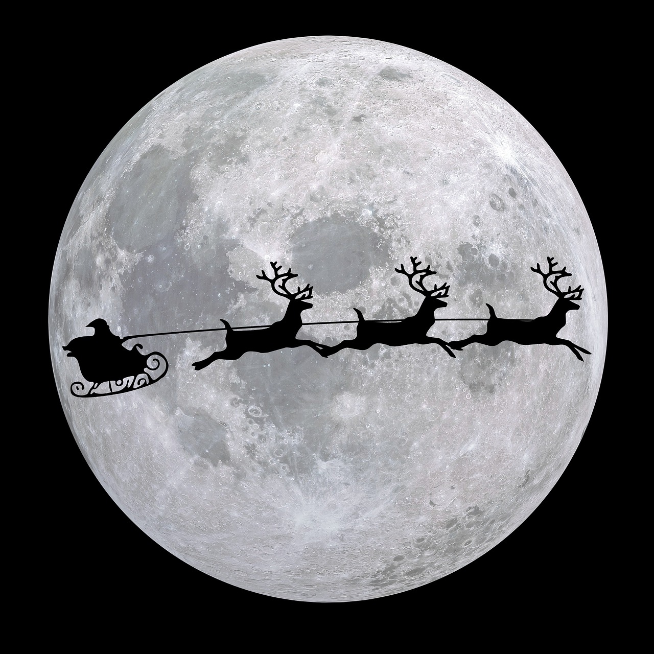 Reindeer Sleigh Rides