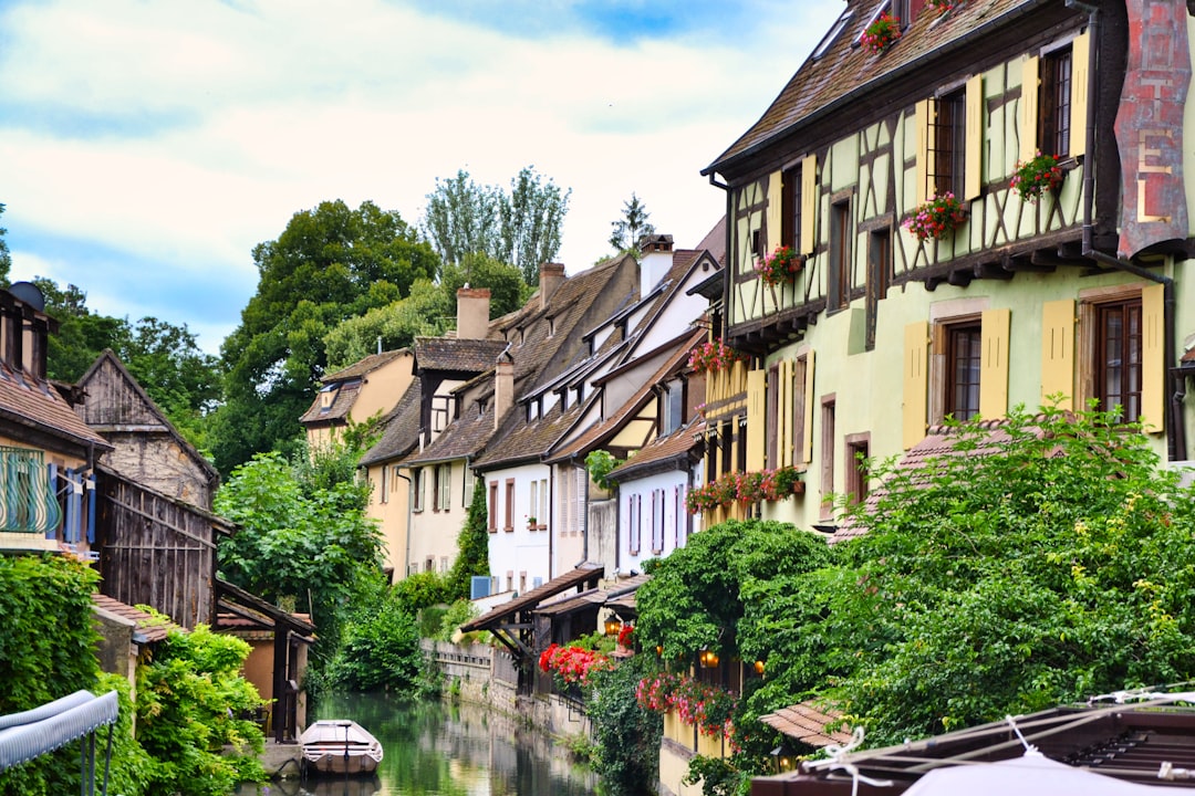 The Alsace Wine Route