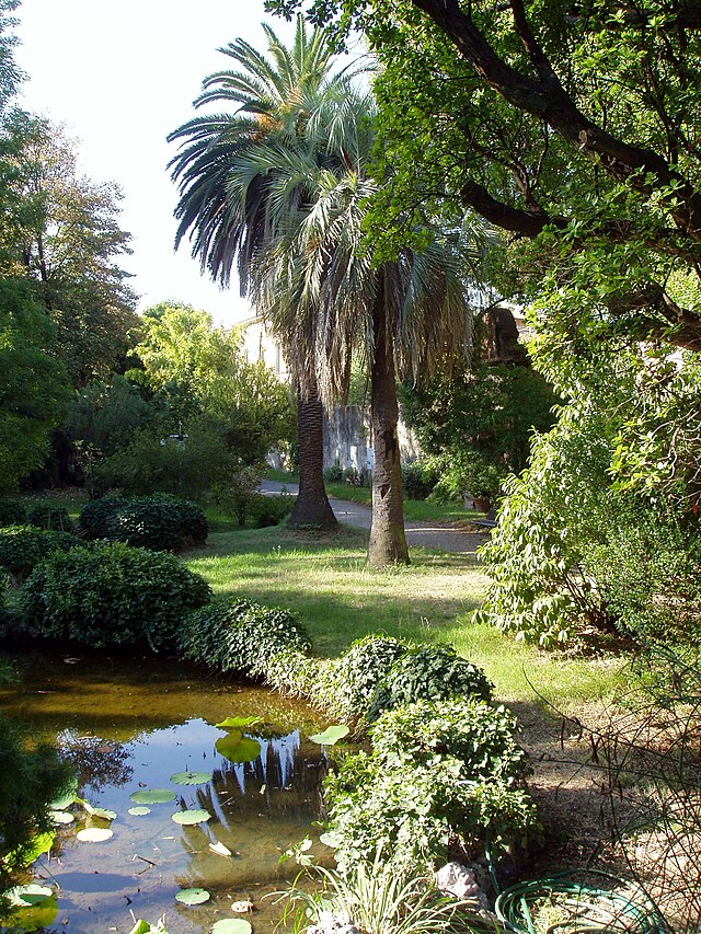 Botanical Garden (Jardin Botanique)