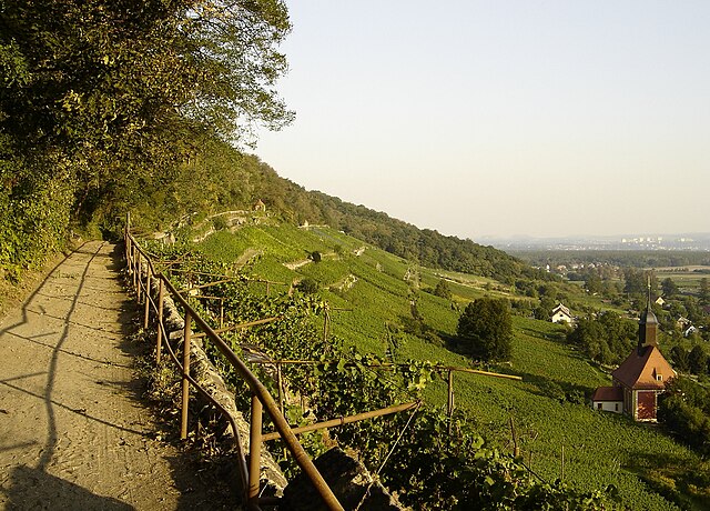 Saxon Wine Route (Sächsische Weinstraße)