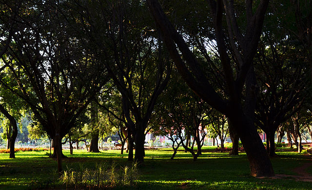 Cubbon Park