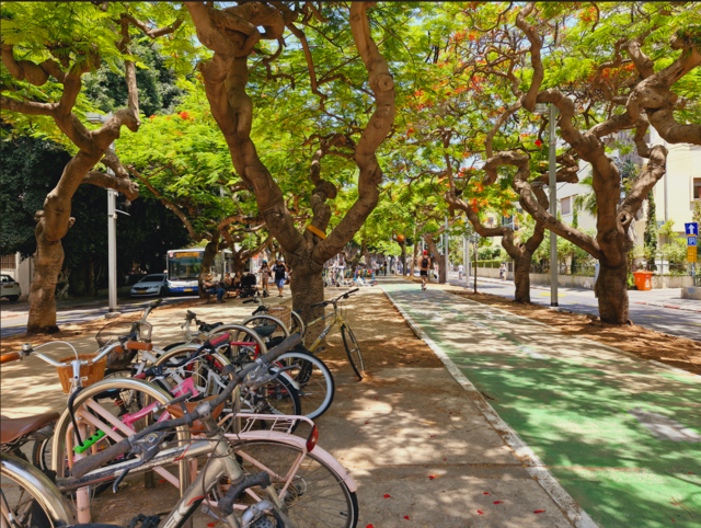 Rothschild Boulevard