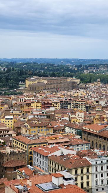 Florence Airport Connections