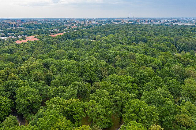 Oak Grove (Ąžuolynas)