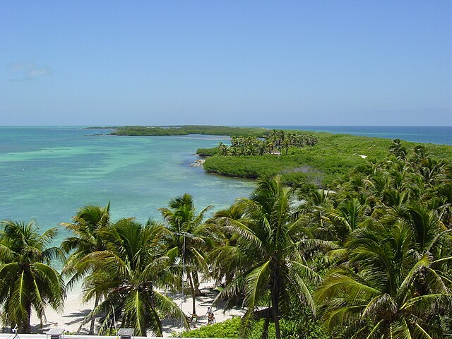 Contoy Island