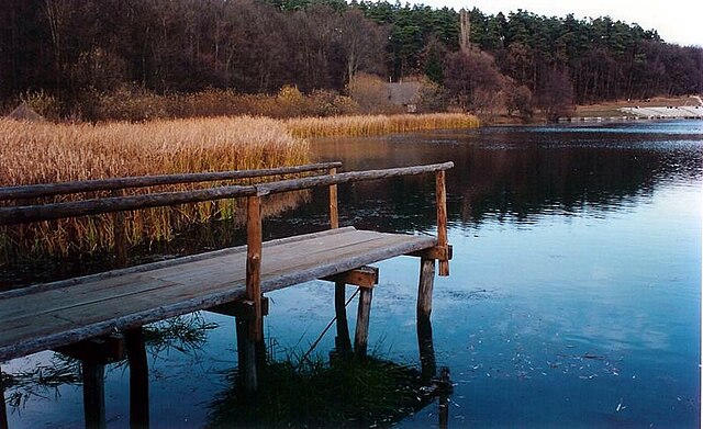 Dumbrava Sibiului Natural Park (Sub Arini Park)