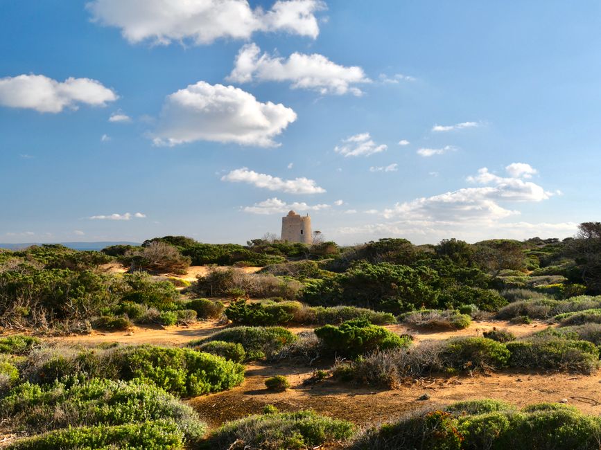 Ses Feixes Wetlands Nature Walk