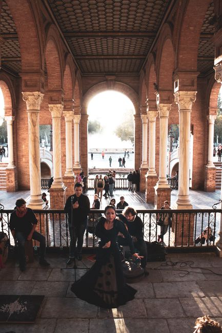 Flamenco Shows