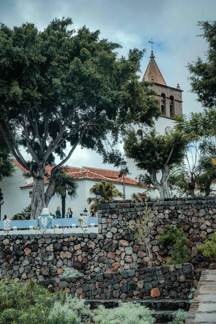 Icod de los Vinos Grape Harvest Festival