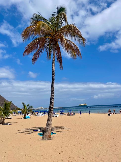 Playa del Duque