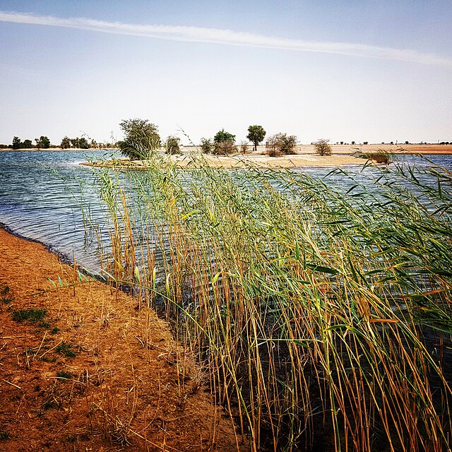 Al Qudra Lakes