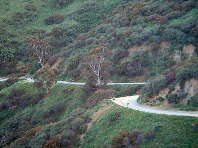 Runyon Canyon Park